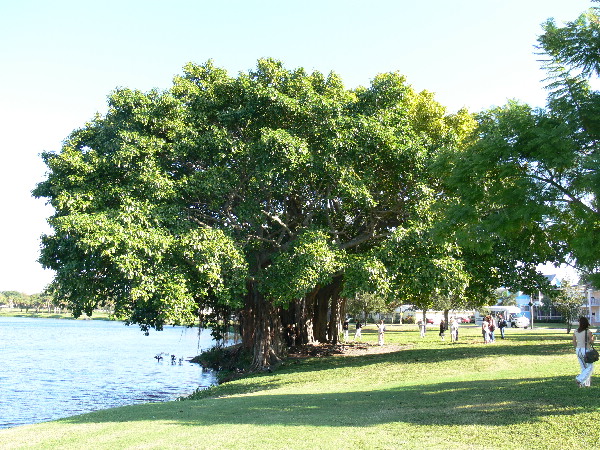 image95