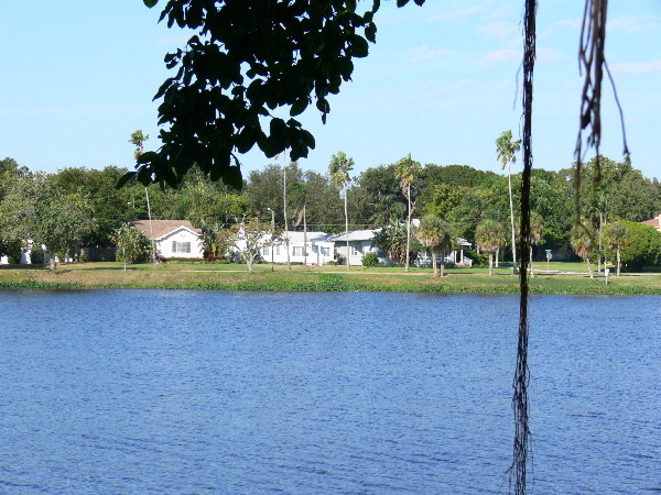 image96