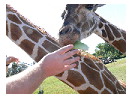 thumbnail132