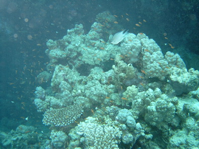 image15