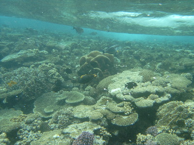 image17