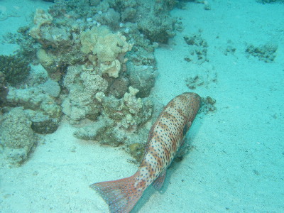 image20