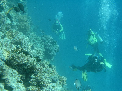 image27