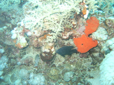 image9