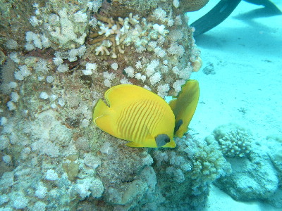 image15