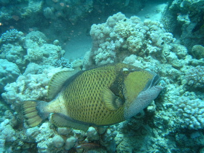 image20