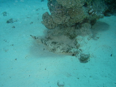 image22