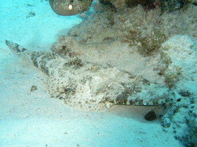 image23