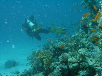 image32