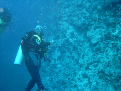 image38