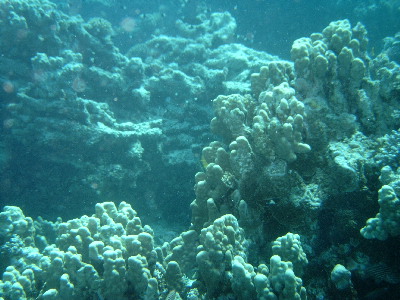 image47