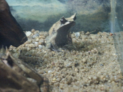 image10