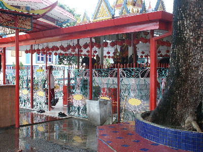 image14