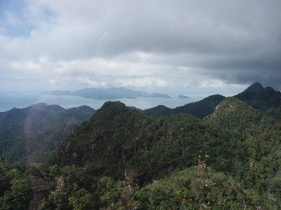 image31