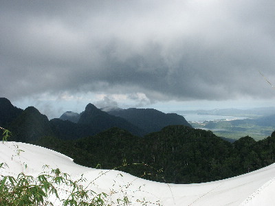 image36