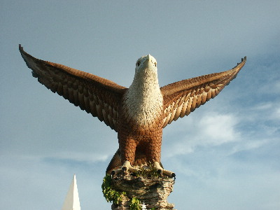 image47